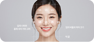 맞춤형 얼굴 분석